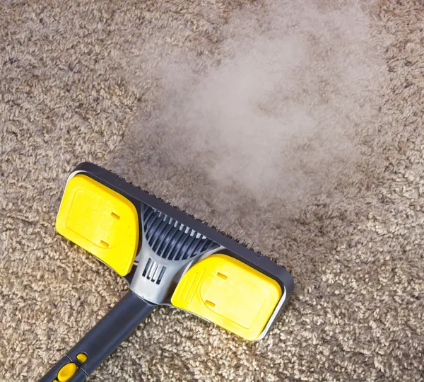 Professional Carpet Cleaning